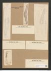 Diatomeae indet. Zeichnungen Sammlung Grunow Nr. 2833 (NHMW-BOT-W0370143)